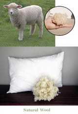 Wool Pillow